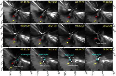 Dayside Diffuse Aurora and the Cold-Plasma Structuring: A Brief Review